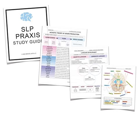 Study with Quizlet and memorize flashcards containing terms like C. . Quizlet slp praxis form 1